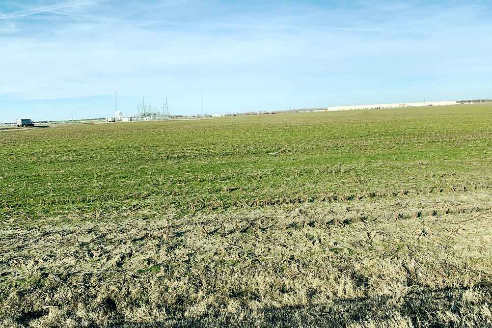 F. Wallace Property - On Site